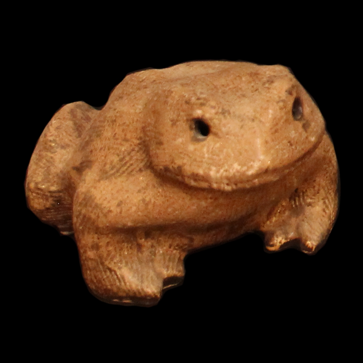 Medium Frog Peter